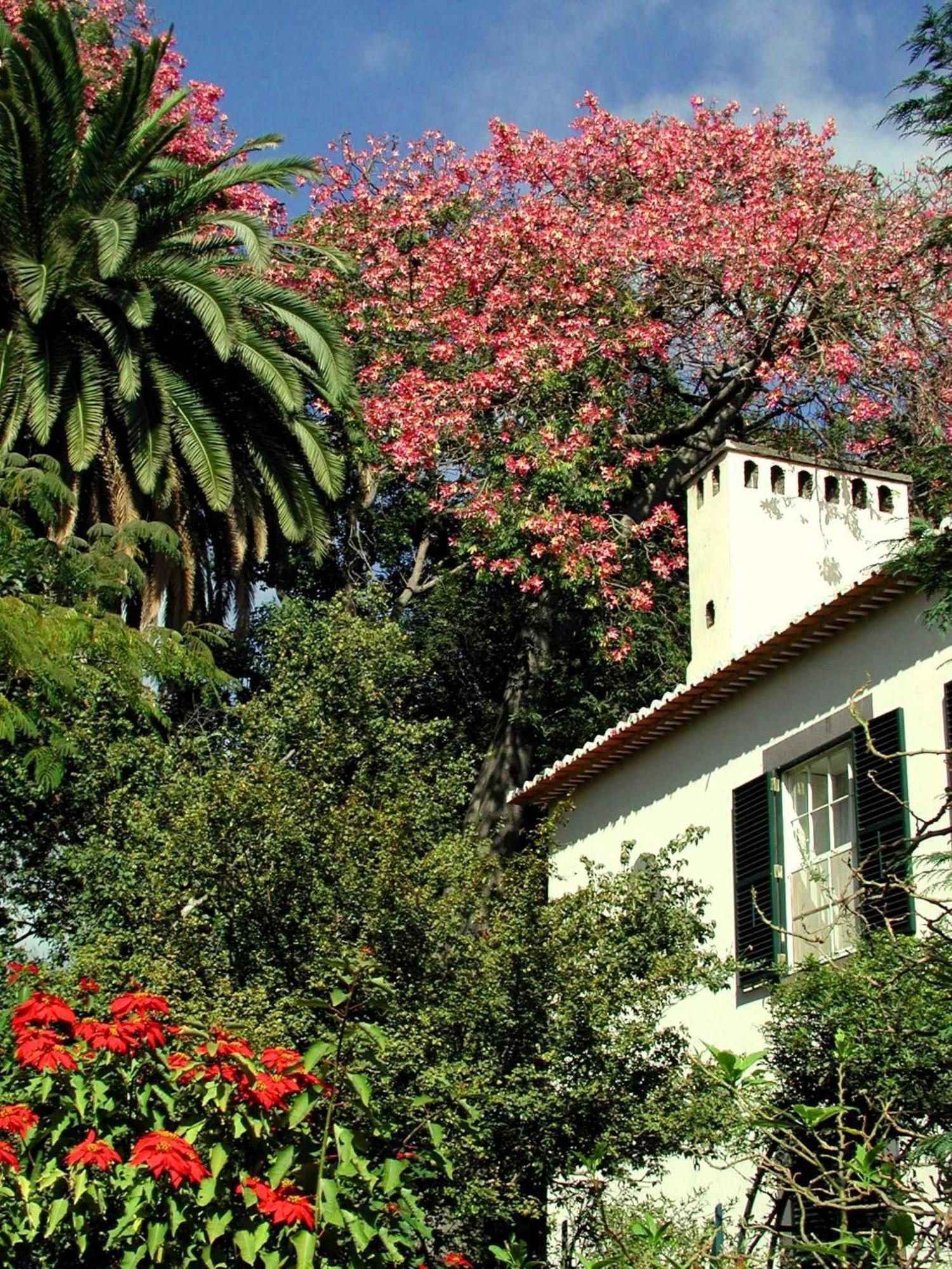 Quinta Da Bela Vista Hotel Funchal  Luaran gambar